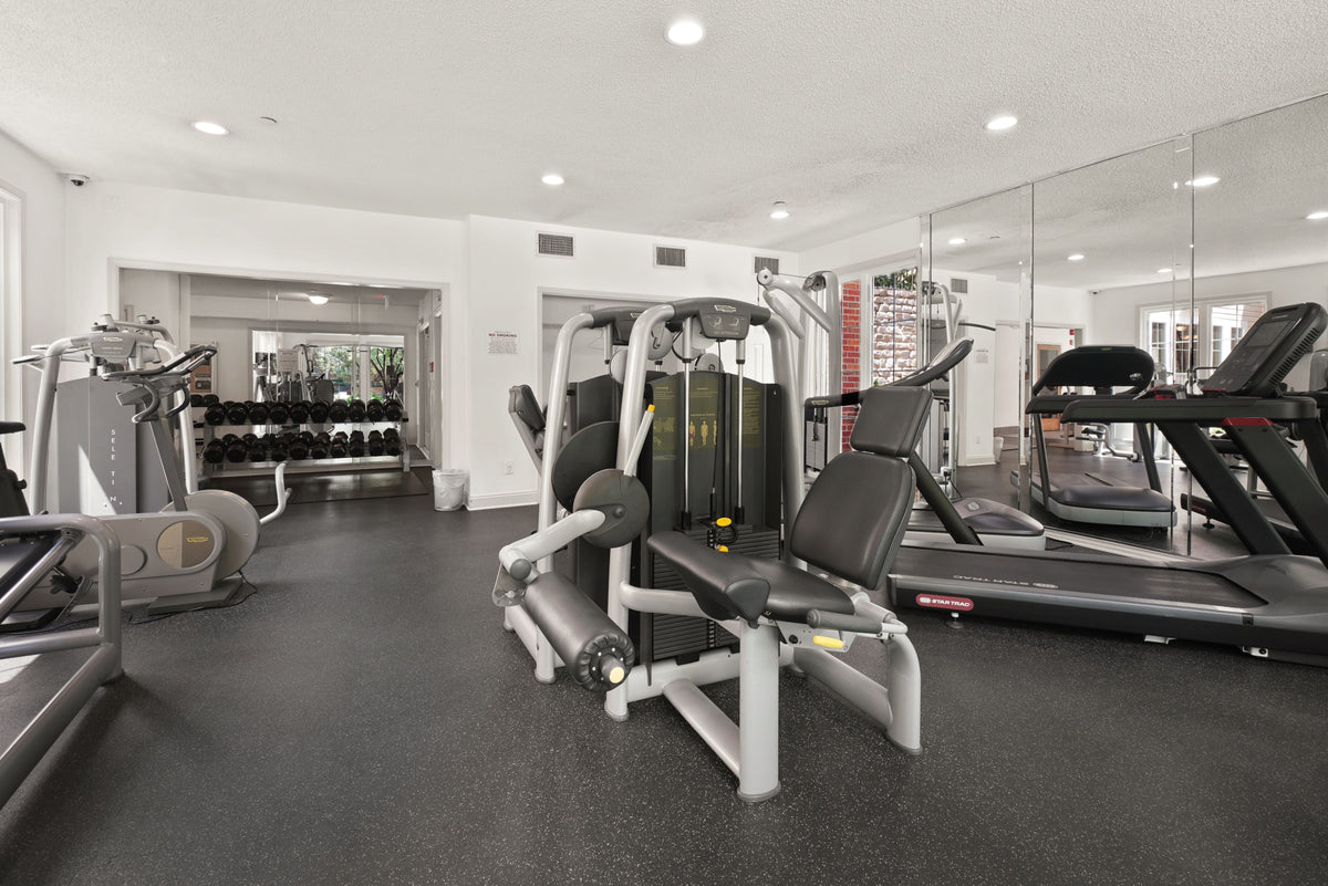 Commercial gym floor with cardio and strength equipment in a UAE facility