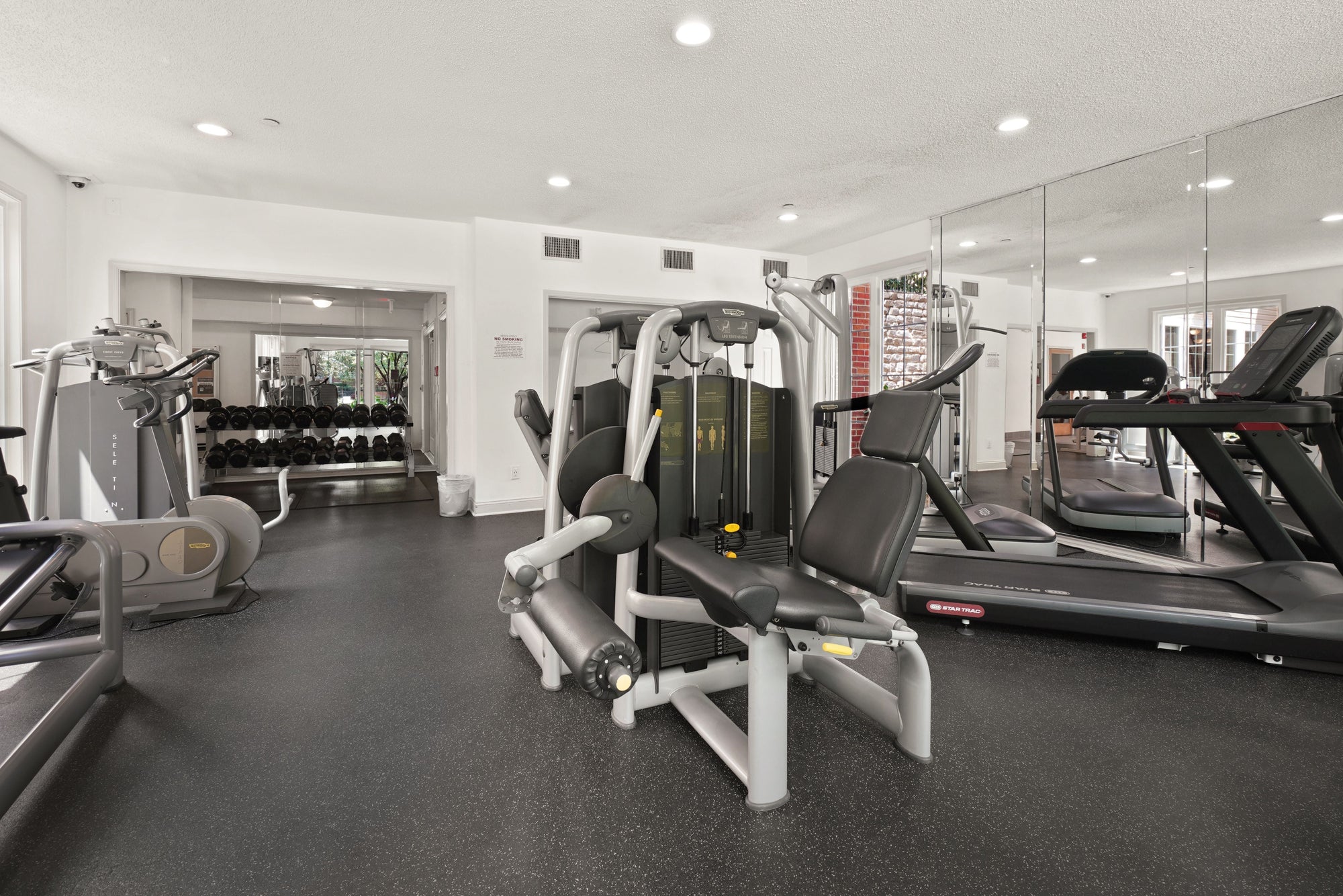 Commercial gym floor with cardio and strength equipment in a UAE facility