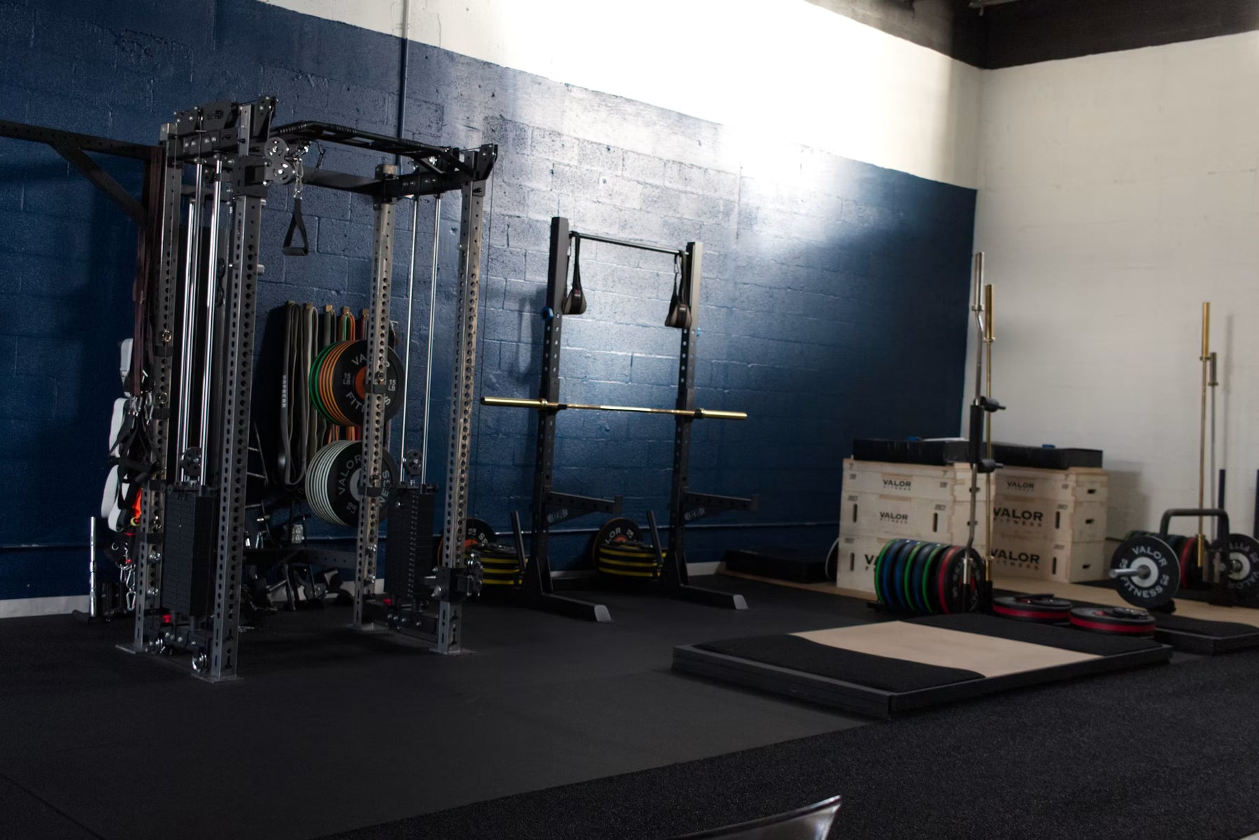 Functional training rig in a professional facility